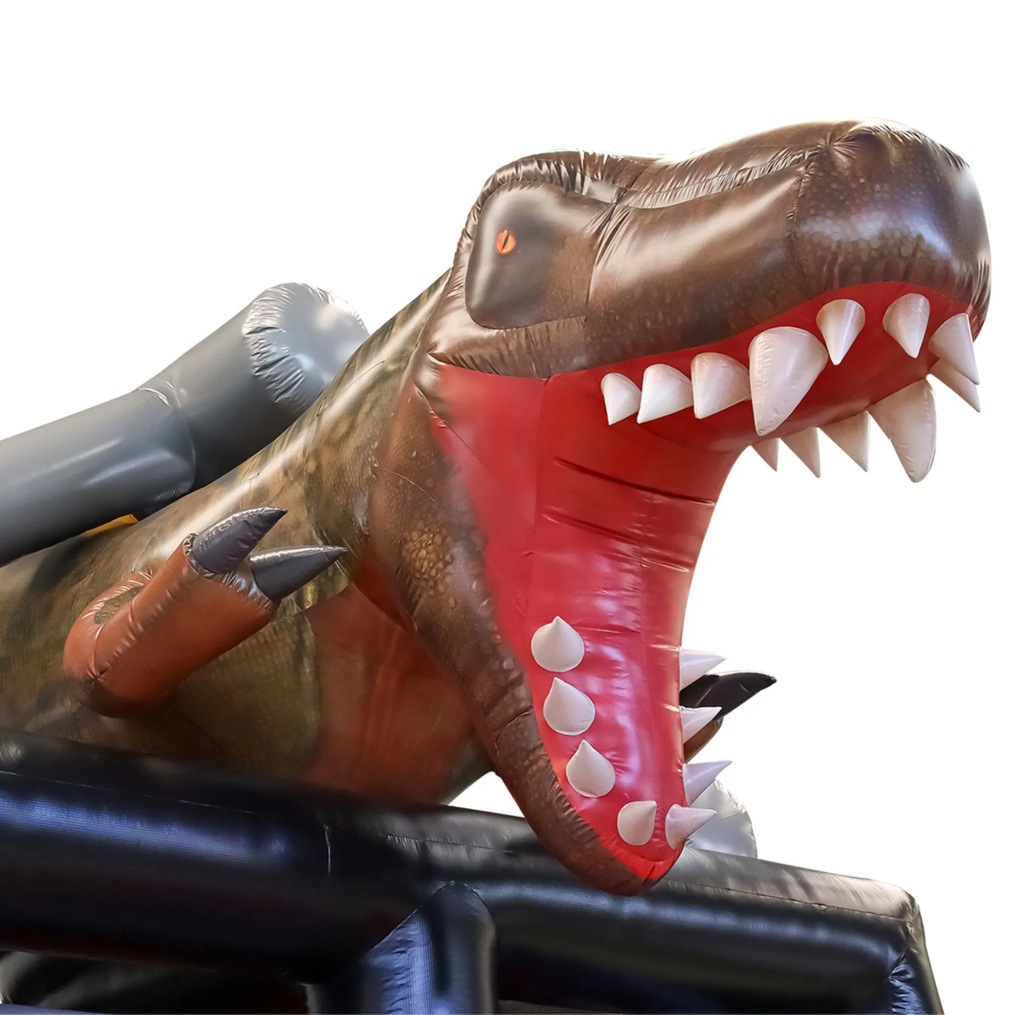 combo_t_rex_821_4_022e8e629b56f281fa0ba9c3ff66872a